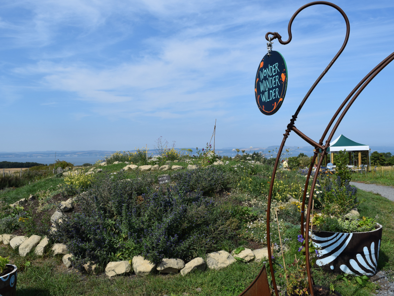 A photo of Lauriston Farm - in the foreground a metal arch with a handpainted sign that reads: 'Wonder, Wander, Wilder', beyond that a mound packed with flowering native shrubs, and in the background views of the Firth of Forth.