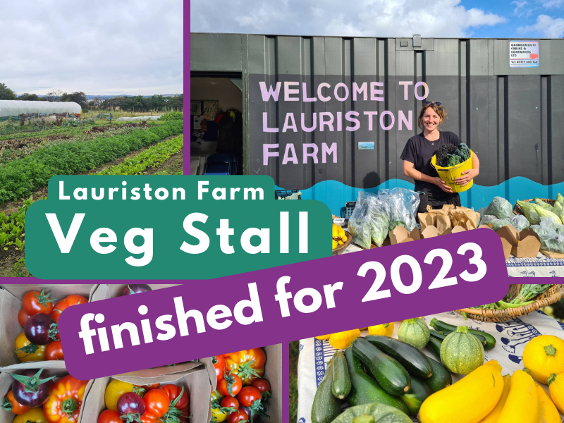 four photos of fresh colourful produce laid out on a long table, and a farmer in front of the sign saying 'Welcome to Lauriston Farm'