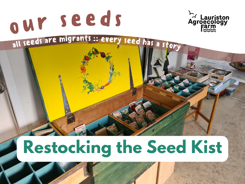 A photo of a large, hand-painted and decorated wooden chest, opened up to reveal lots of small compartments filled with seed packets.The text reads: Our seeds - all seeds are migrants ~ every seed has a story. Restocking the Seed Kist. The Lauriston Agroecology Farm logo is top right.
