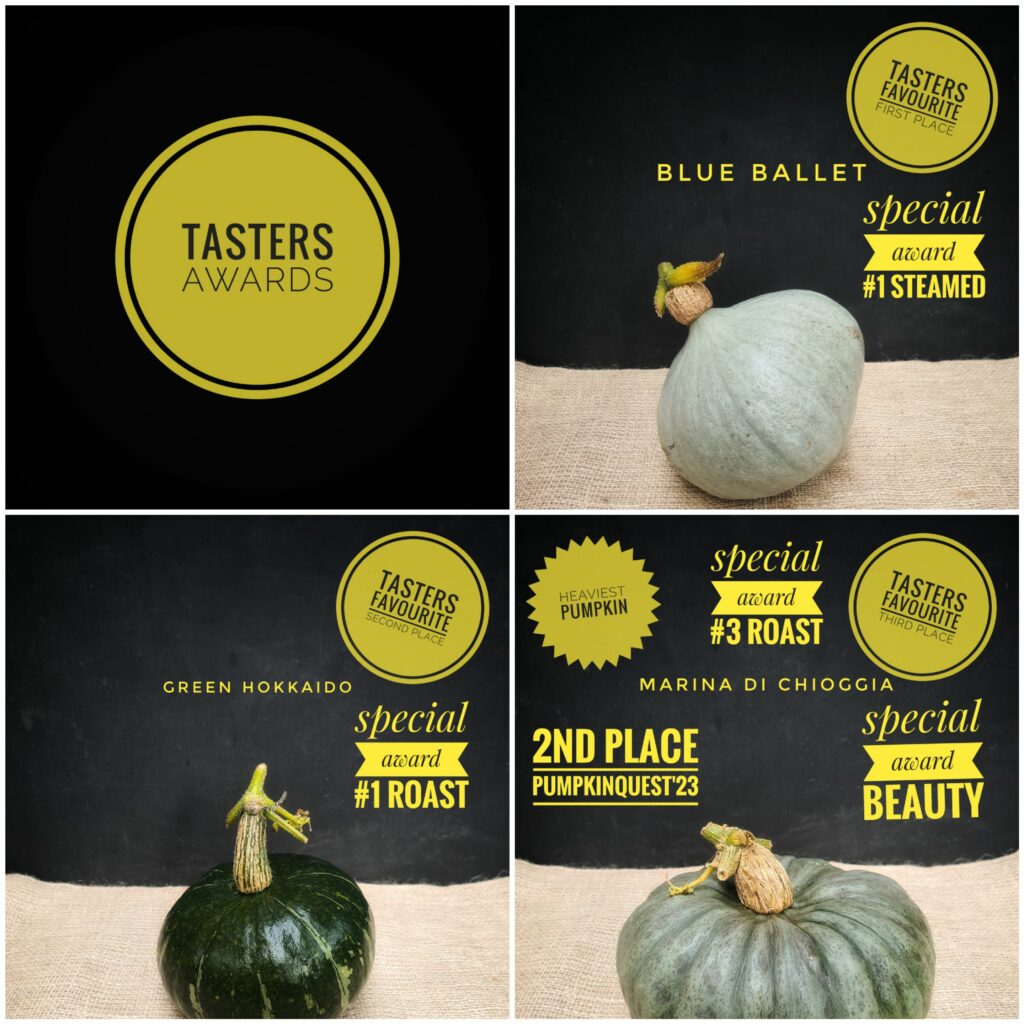 Photos of three pumpkin varieties , all with green skin, with yellow notes on their 'awards': Blue Ballet 1st place & best steamed, Green Hokkaido 2nd place & best roasted, Marina Di Chioggia 3rd place & most beautiful