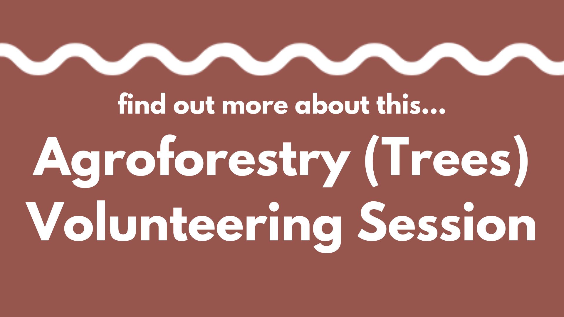 A white wavy line on a brown background above the words: Find out more about this... Agroforestry (Trees) Volunteering Session