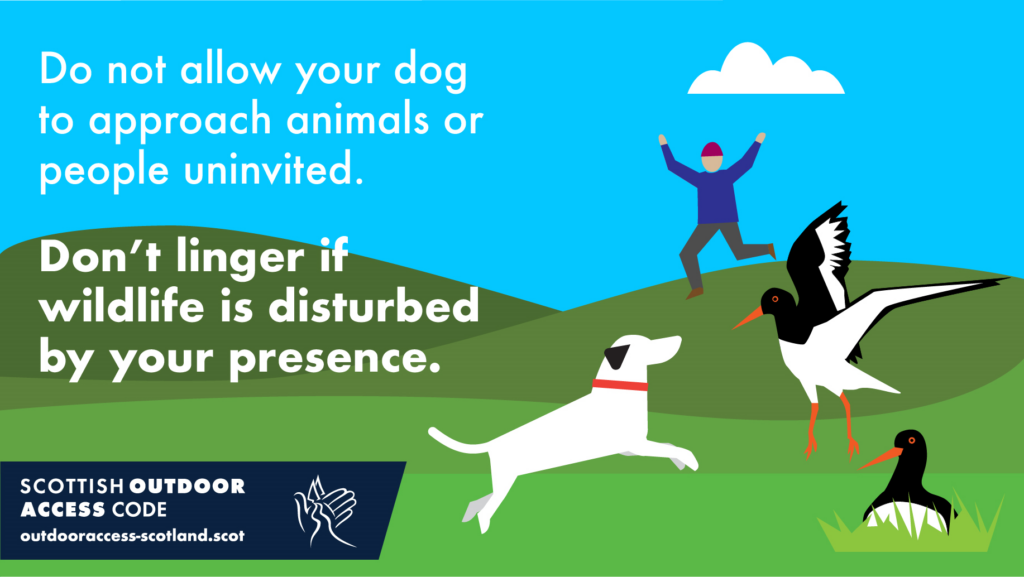 A graphic of a person running and waving their arms, as their off-lead dog chases and disturbs nesting birds. The text reads: Do not allow your dog to approach animals or people uninvited. Don't linger if wildlife is disturbed by your presence. The Scottish Outdoor Access Code logo is bottom left, with the website address outdooraccess-scotland.scot