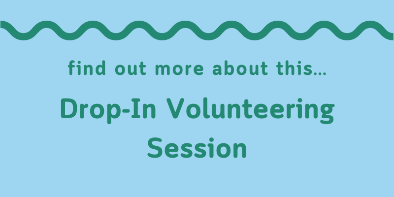 A green wavy line on a blue background above the words: Find out more about this... Drop-In Volunteering Session