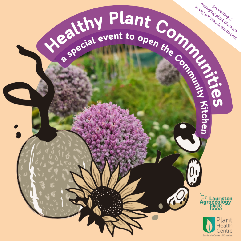 A hand-drawn gourd, sunflower, apple and seeds frame a photo of the Community Allotments, with a closeup of purple allium flowers, and a background of abundant growth on plots. The title is repeated in the post. There is a small piece of text top right which says: preventing & managing plant diseases in veg patches & allotments. The Lauriston Agroecology Farm logo, and Scotland’s Plant Health Centre logo, are bottom right.