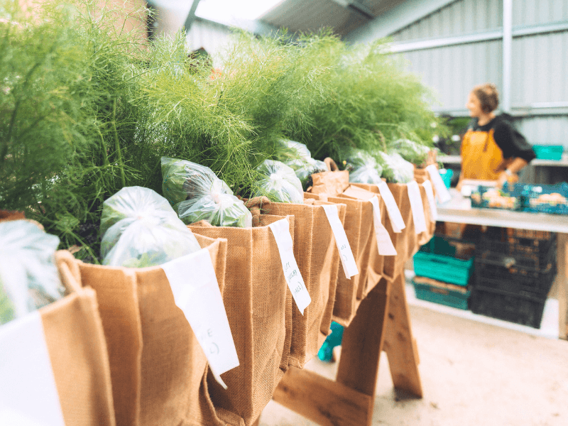 CSA Veg Bags