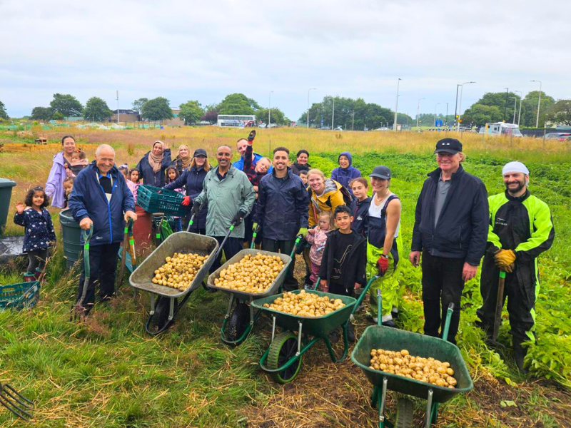 A large group of people all smiling, standing behind wheelbarrows absolutely full of potatoes, in a field at Lauriston Farm