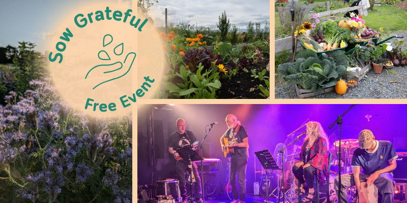 Photos of four scenes: an abundance of purple flowers in evening light at the allotments, a diverse raised bed of salad and flowers with rich brown soil, a 'harvest' scene with a mix of veg on display in and around a wheelbarrow, and a band on stage. The text reads: Sow Grateful Free Event, and there is a graphic of an open hand facing up with seeds falling into the palm