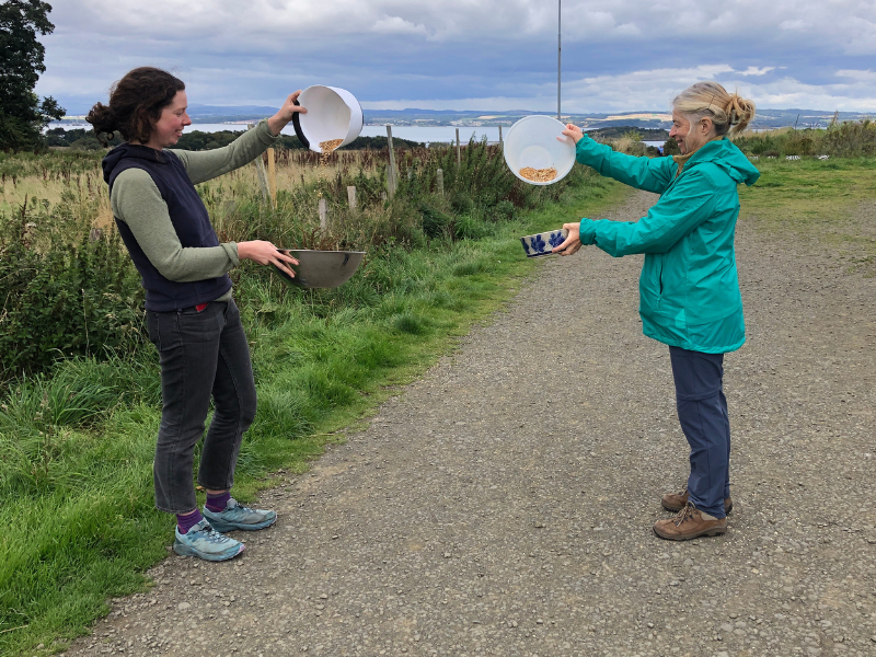 Photo of two people in the farmyard, dropping grains from a bowls held high in one hand each, to bowls held below to catch the falling grains
