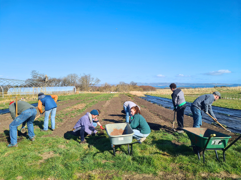 Volunteers working in the market garden