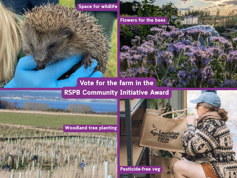 Four photos: gloved hands hold a hedgehog, purple flowering phacelia in the allotments, hundreds of tree guards in newly planted woodland, and a farmer adding veg bags to shelves. The text reads: space for wildlife, flowers for bees, woodland tree planting, pesticide-free veg. Other text repeated in post