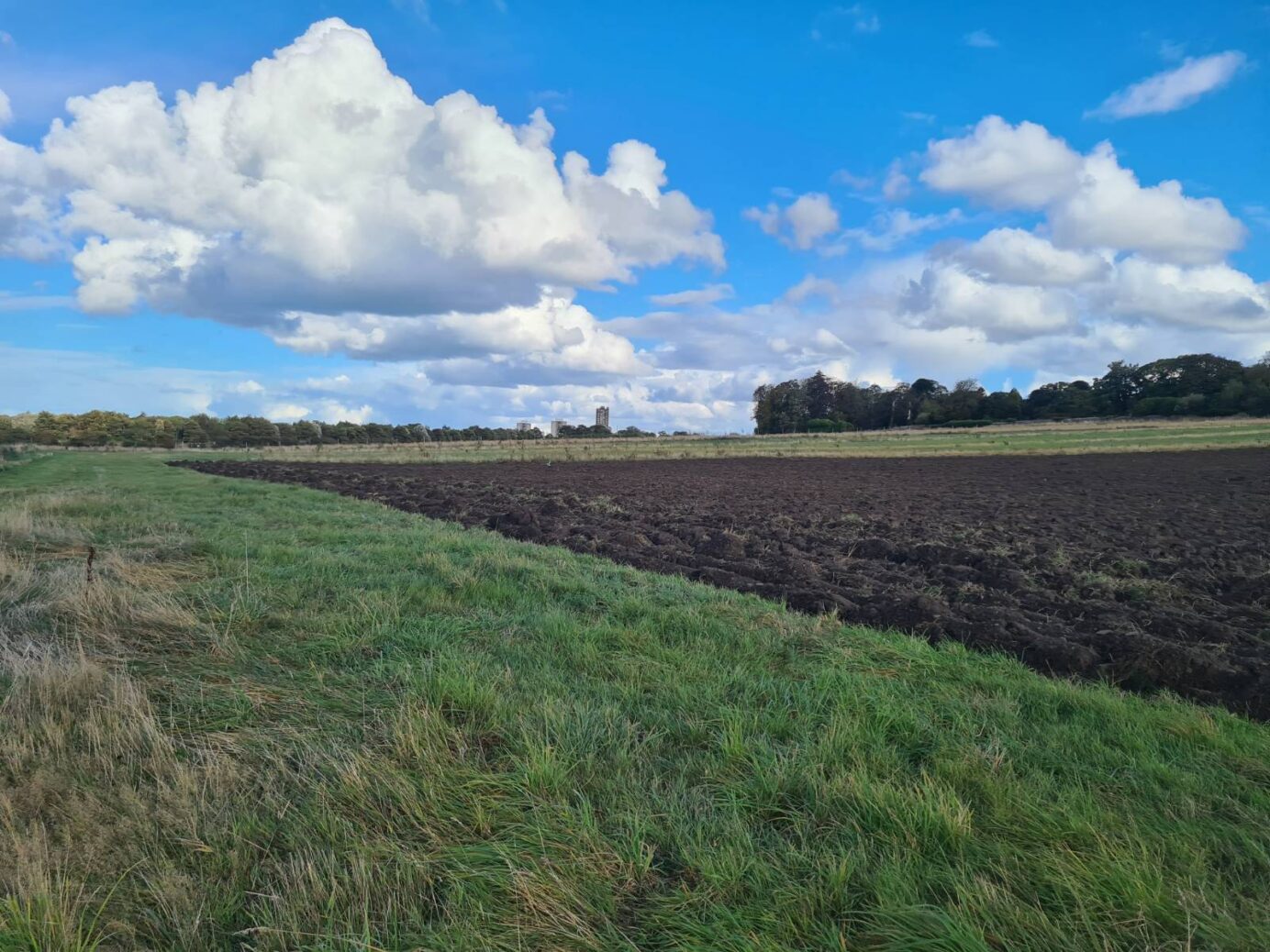 Edge of a newly ploughed and sown field, within a larger grassy area. Muirhouse visible in the far distance