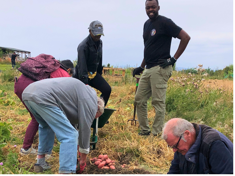 Five folk working to hoik tatties out the ground