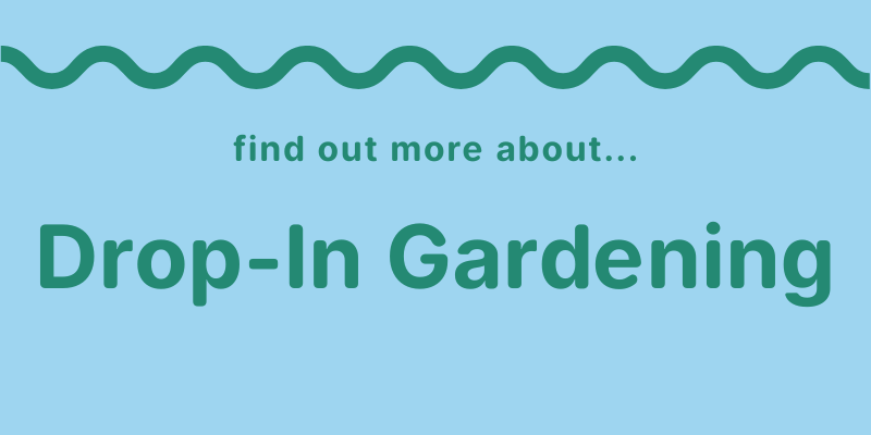 A green wavy line on a blue background above the words: Find out more about... Drop-In Gardening