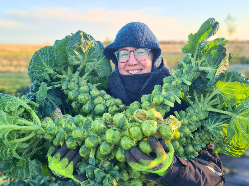 A smiling folder holding several enormous stems packed with Brussels sprouts in their arms