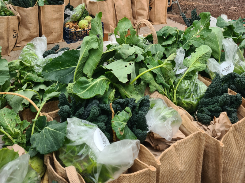 Multiple hessian bags packed together on tables in the pack shed, filled with green winter vegetables