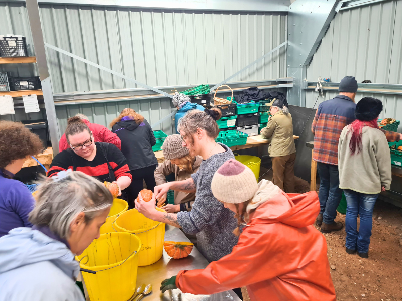 Nine volunteers working around different tables in the pack shed, the ones nearest are taking seeds out of pumpkins