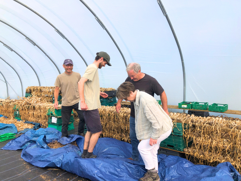 Smiling people tread up and down on a large tarpaulin with seed pods inside