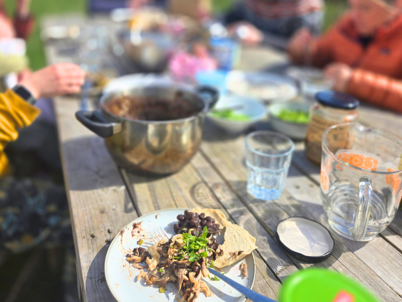 A closeup of plats and pans of food on a long outdoor table, with a sense of the people gathered around