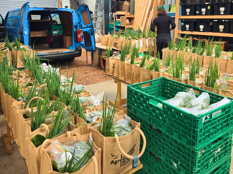 Photo of the packing shed with long rows of packed veg bags, some more in crates, ready to be loaded into the open doors of the van