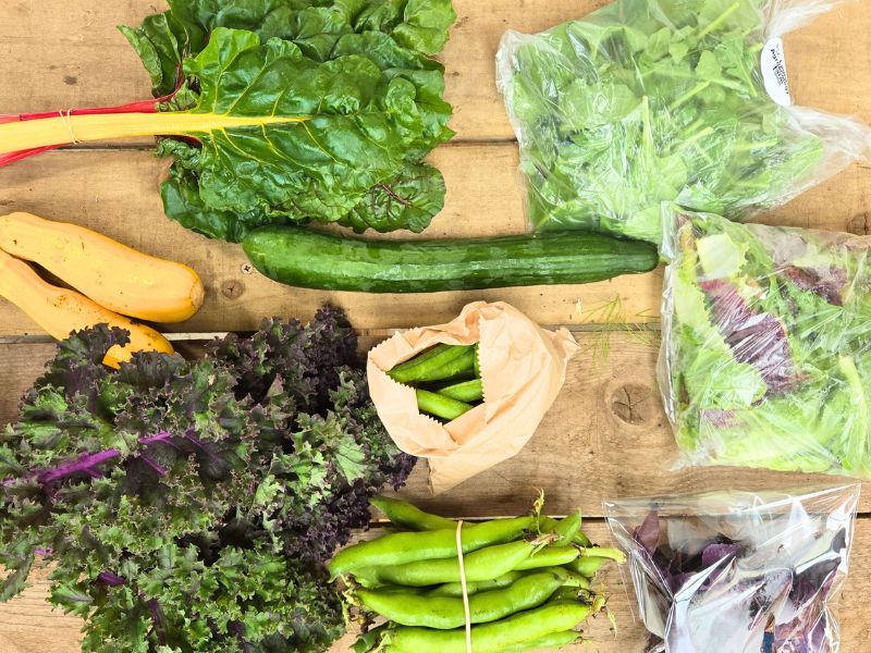 A photo of an array of vegetables on a table - including chard, courgette, bagged salad leaves, kale and broad beans