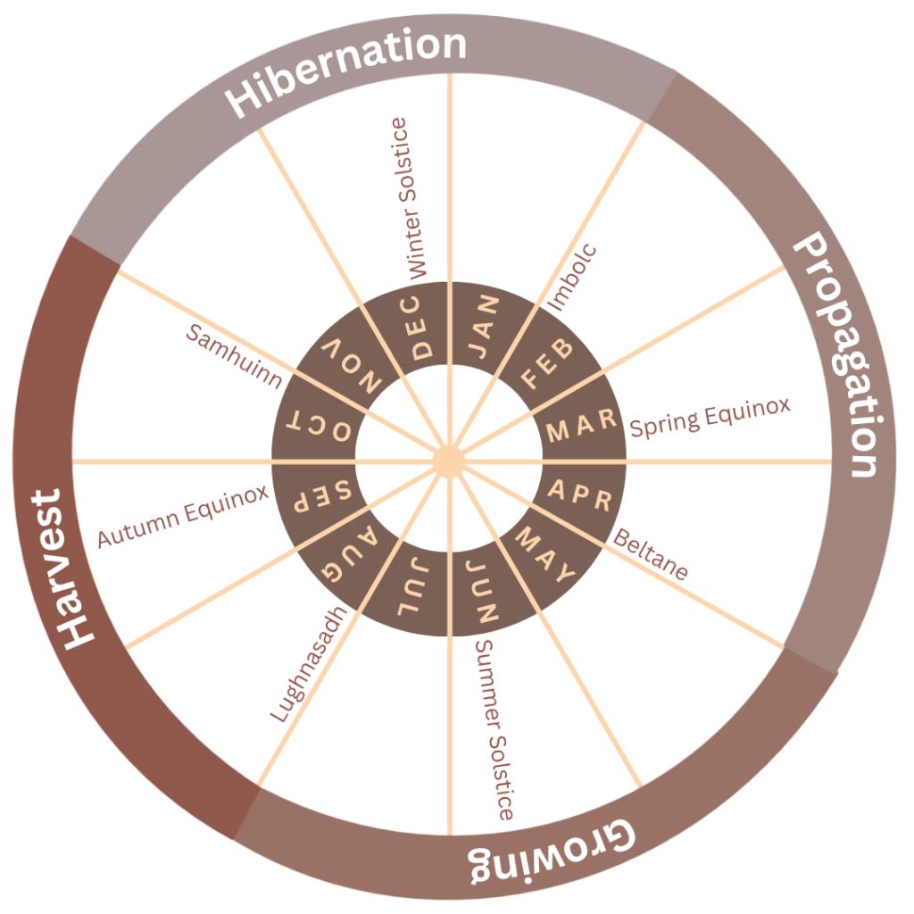 A wheel divides the 12 months of the year into named quaters of: Hibernation, Propagation, Growing & Harvest