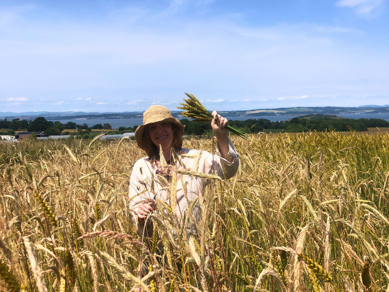 A person standing in a field of rye on a sunny day, with a handful of 'rogue' wheat